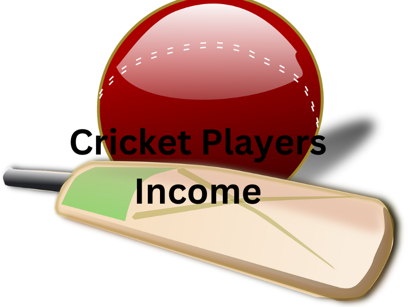Cricket player earns